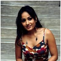 Madhavi Latha Hot Images at Ela Cheppanu Movie Audio Release | Picture 490374