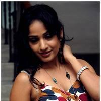 Madhavi Latha Hot Images at Ela Cheppanu Movie Audio Release | Picture 490375