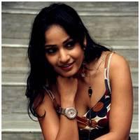 Madhavi Latha Hot Images at Ela Cheppanu Movie Audio Release | Picture 490390