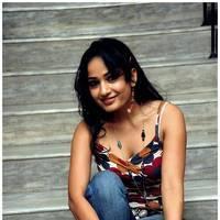 Madhavi Latha Hot Images at Ela Cheppanu Movie Audio Release | Picture 490409