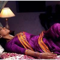 Mumaith Khan Latest Hot Saree Photos | Picture 492155