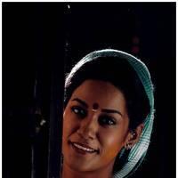 Mumaith Khan Latest Hot Saree Photos | Picture 492167