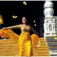 Nisha Agarwal Latest Stills in Saradaga Ammaitho Movie | Picture 493759