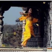 Nisha Agarwal Latest Stills in Saradaga Ammaitho Movie | Picture 493561