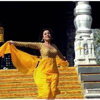 Nisha Agarwal Latest Stills in Saradaga Ammaitho Movie | Picture 493768