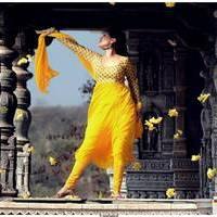 Nisha Agarwal Latest Stills in Saradaga Ammaitho Movie | Picture 493422