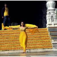 Nisha Agarwal Latest Stills in Saradaga Ammaitho Movie | Picture 493572