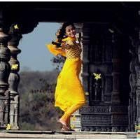 Nisha Agarwal Latest Stills in Saradaga Ammaitho Movie | Picture 493575