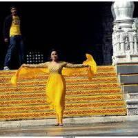 Nisha Agarwal Latest Stills in Saradaga Ammaitho Movie | Picture 493582