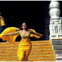Nisha Agarwal Latest Stills in Saradaga Ammaitho Movie | Picture 493787