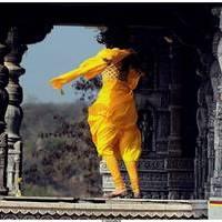 Nisha Agarwal Latest Stills in Saradaga Ammaitho Movie | Picture 493587