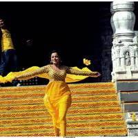Nisha Agarwal Latest Stills in Saradaga Ammaitho Movie | Picture 493789