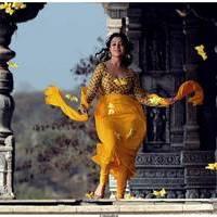 Nisha Agarwal Latest Stills in Saradaga Ammaitho Movie | Picture 493432