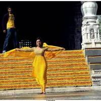 Nisha Agarwal Latest Stills in Saradaga Ammaitho Movie | Picture 493590