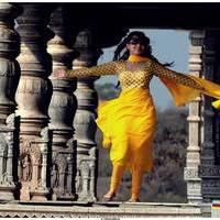 Nisha Agarwal Latest Stills in Saradaga Ammaitho Movie | Picture 493435