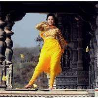 Nisha Agarwal Latest Stills in Saradaga Ammaitho Movie | Picture 493594