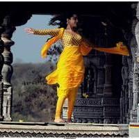 Nisha Agarwal Latest Stills in Saradaga Ammaitho Movie | Picture 493597