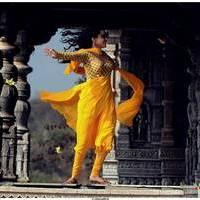 Nisha Agarwal Latest Stills in Saradaga Ammaitho Movie | Picture 493599