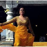 Nisha Agarwal Latest Stills in Saradaga Ammaitho Movie | Picture 493797