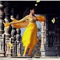 Nisha Agarwal Latest Stills in Saradaga Ammaitho Movie | Picture 493600
