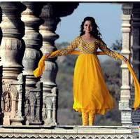 Nisha Agarwal Latest Stills in Saradaga Ammaitho Movie | Picture 493445