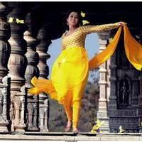 Nisha Agarwal Latest Stills in Saradaga Ammaitho Movie | Picture 493606