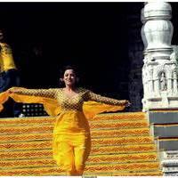 Nisha Agarwal Latest Stills in Saradaga Ammaitho Movie | Picture 493808