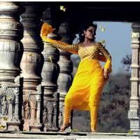 Nisha Agarwal Latest Stills in Saradaga Ammaitho Movie | Picture 493455