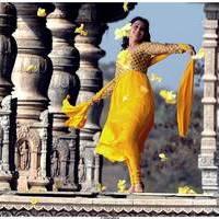 Nisha Agarwal Latest Stills in Saradaga Ammaitho Movie | Picture 493457