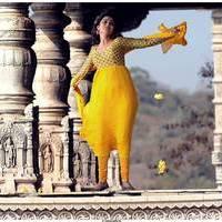 Nisha Agarwal Latest Stills in Saradaga Ammaitho Movie | Picture 493461