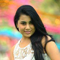 Actress Bhumika Chabria Latest Photos | Picture 396692