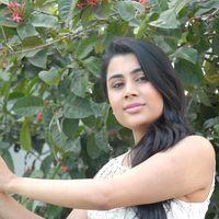 Actress Bhumika Chabria Latest Photos | Picture 396720