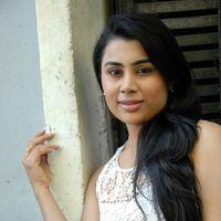 Actress Bhumika Chabria Latest Photos | Picture 396741