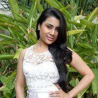 Actress Bhumika Chabria Latest Photos | Picture 396743