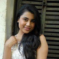 Actress Bhumika Chabria Latest Photos | Picture 396767