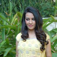 Deeksha Panth At Thondi Movie Opening Pictures | Picture 396776