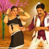 Siva Kesav Telugu Movie Photos | Picture 401597