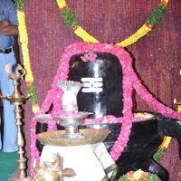 Sri Jagadguru Adi Shankara Movie Audio Release Photos | Picture 403943