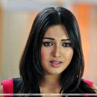 Telugu Actress Katrina Latest Photos | Picture 405470