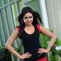 Telugu Actress Katrina Latest Photos | Picture 405506