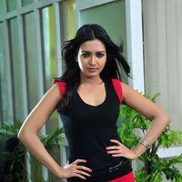 Telugu Actress Katrina Latest Photos | Picture 405531