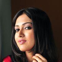 Telugu Actress Katrina Latest Photos | Picture 405353