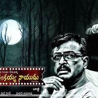 Raghupathi Venkaiah Naidu Movie Wallpapers | Picture 408205