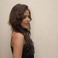 Priyanka Chabra at Athadu Aame O Scooter Audio Pictures | Picture 412857