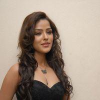 Priyanka Chabra at Athadu Aame O Scooter Audio Pictures | Picture 413014