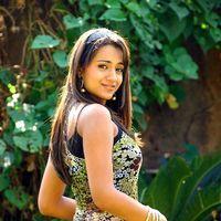 Trisha Krishnan - Kanchu Movie New Stills | Picture 416594