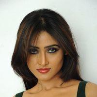 Sony Cherista Hot Images at Mr Rajesh Press Meet | Picture 416306
