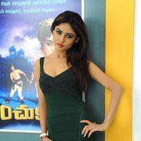 Sony Cherista Hot Images at Mr Rajesh Press Meet | Picture 416339