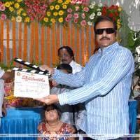 Mohan Babu - Vaddikaasulavaadu Movie Launch Stills | Picture 448485