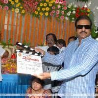Mohan Babu - Vaddikaasulavaadu Movie Launch Stills | Picture 448486